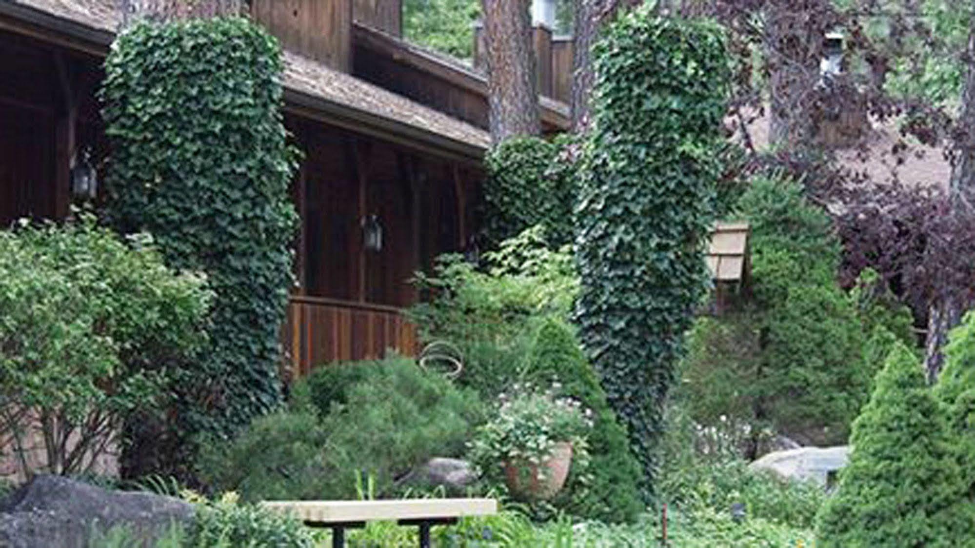Shadow Mountain Lodge And Cabins Ruidoso Ngoại thất bức ảnh